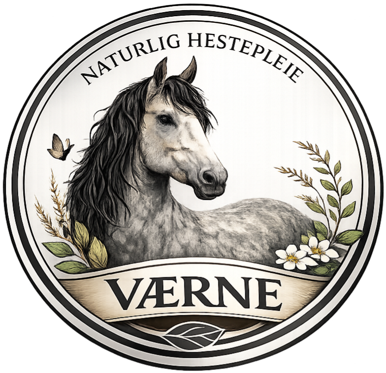 vaerne logo